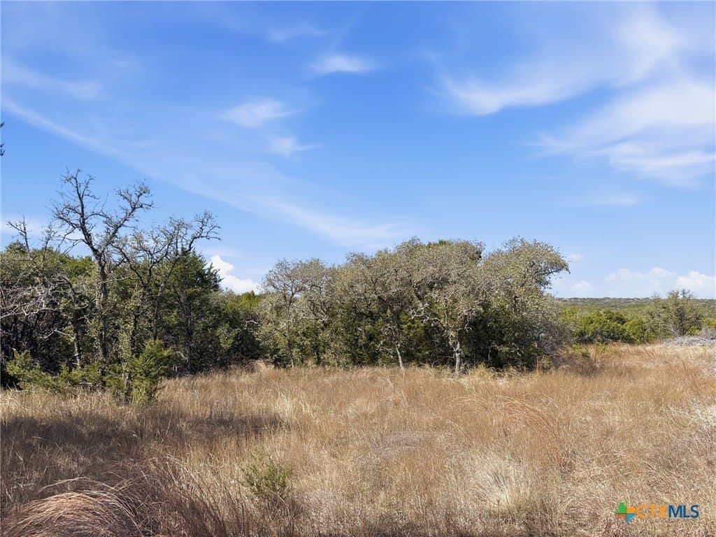 10.01 acres in Coryell County - photo 15