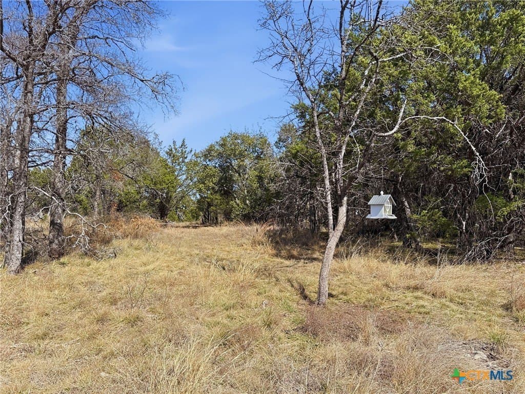 10.01 acres in Coryell County - photo 11