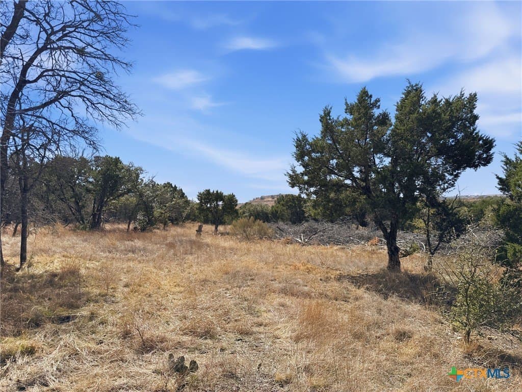 10.01 acres in Coryell County - photo 20