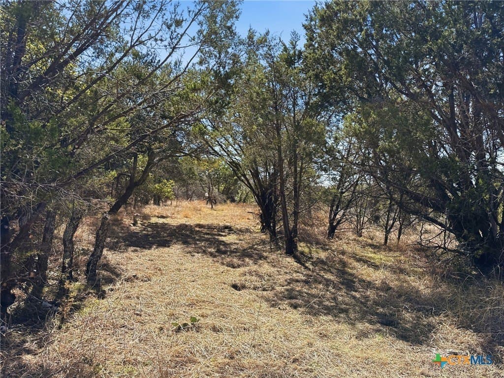 10.01 acres in Coryell County - photo 8