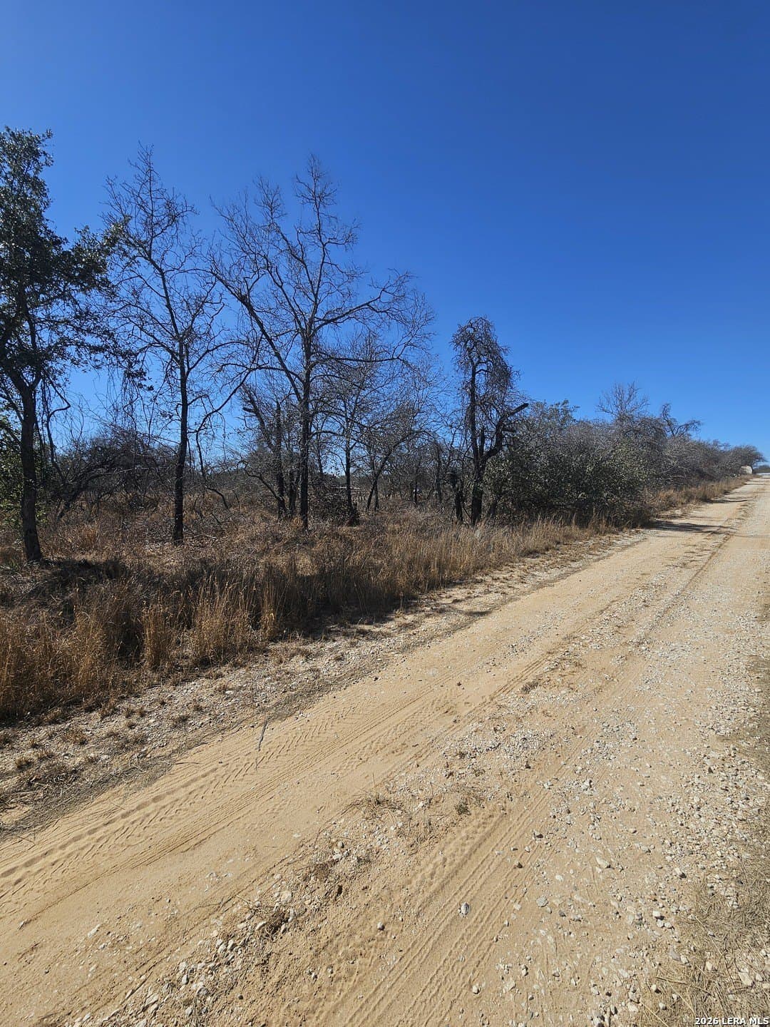 2 acres in Medina County - photo 4