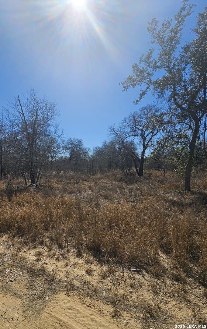 2 acres in Medina County - photo 3