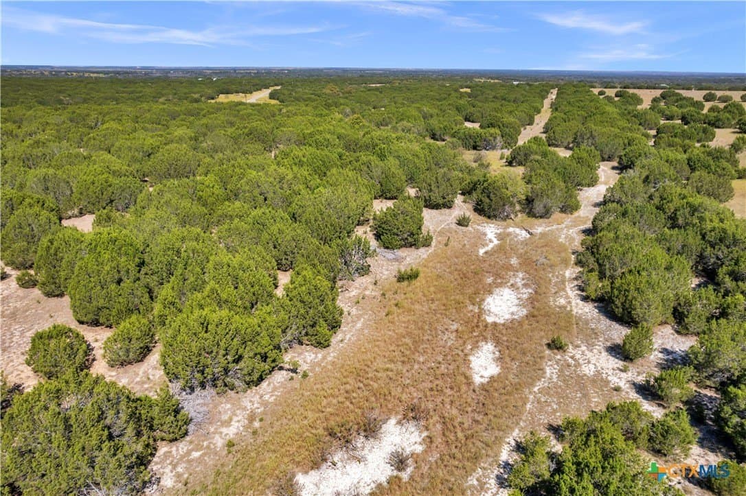 9.3 acres in Burnet County - photo 8