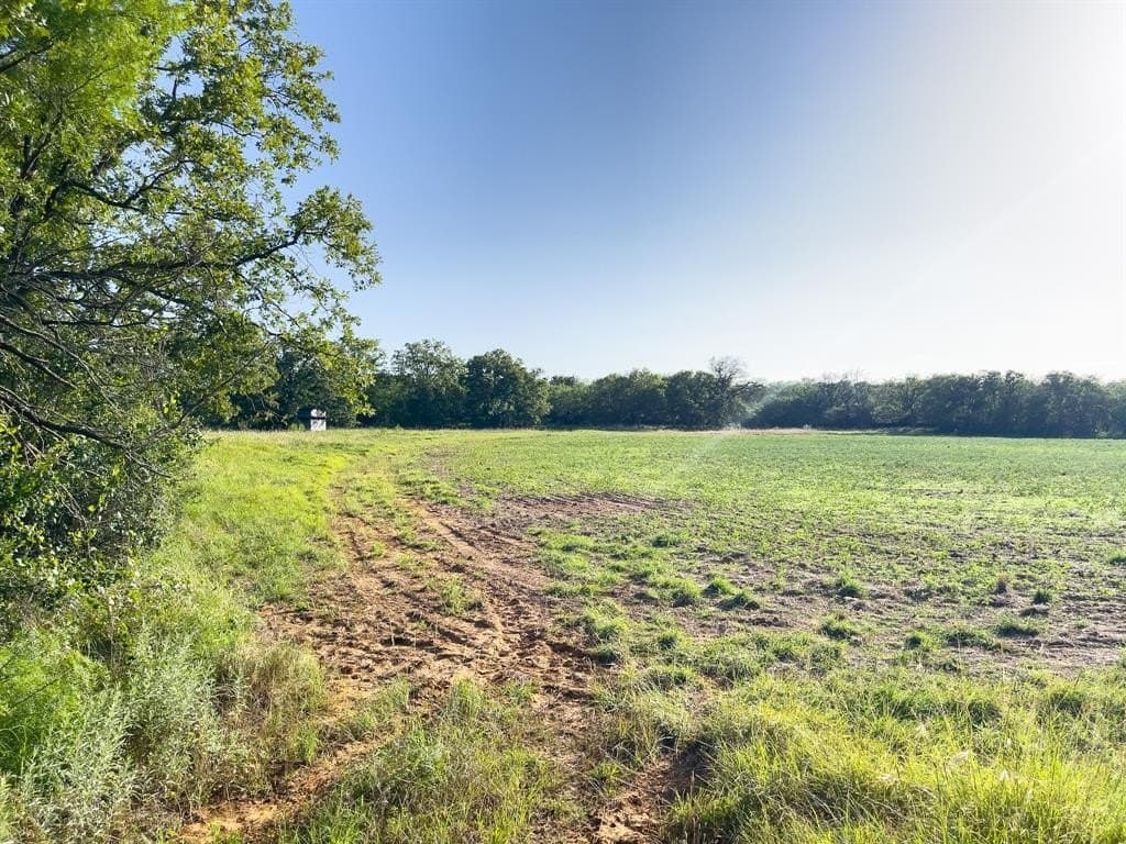 14.14 acres in Erath County - photo 3