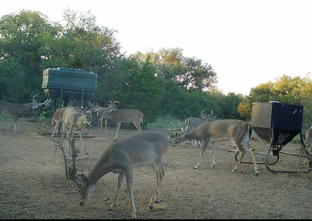 14.14 acres in Erath County - photo 25