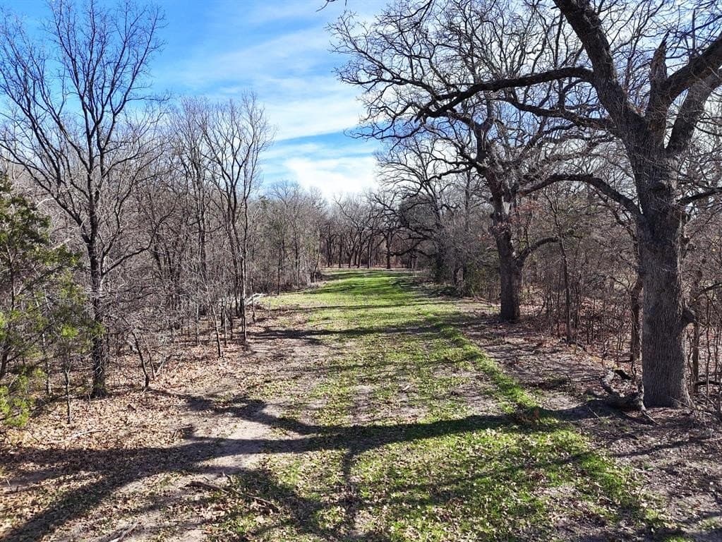 39.96 acres in Hood County - photo 29