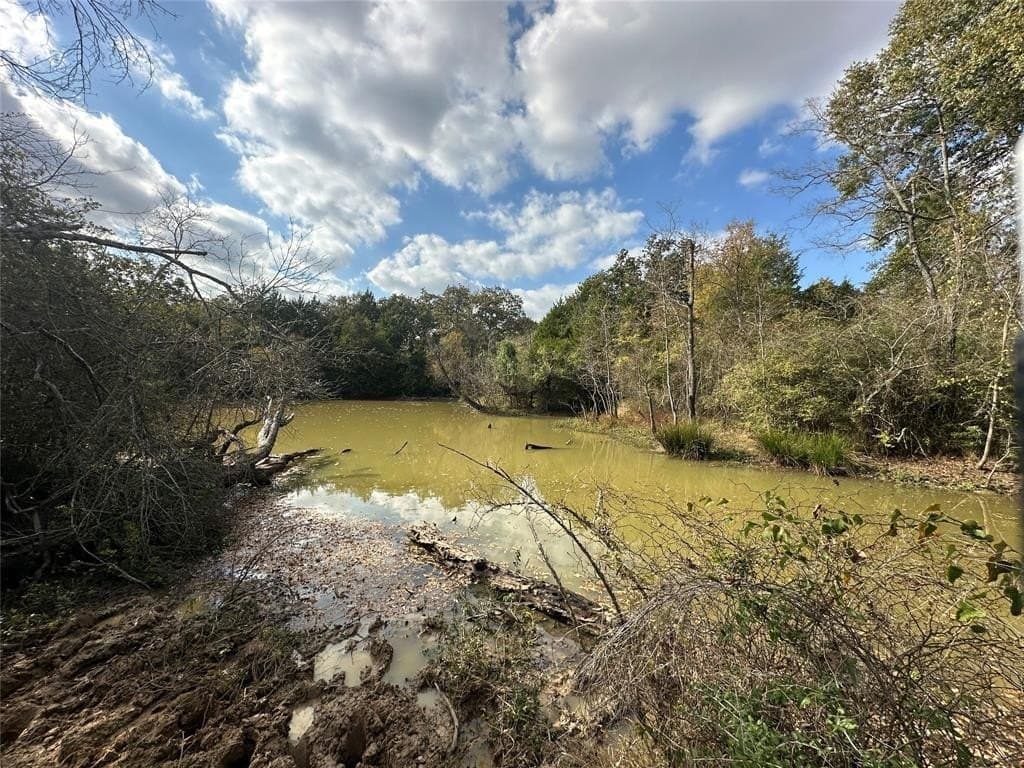 90 acres in Limestone County - photo 20