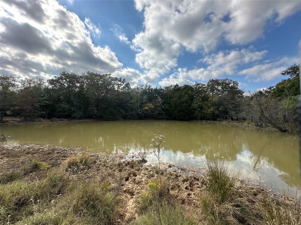 90 acres in Limestone County - photo 21
