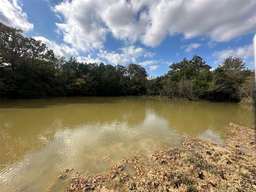 90 acres in Limestone County - photo 23
