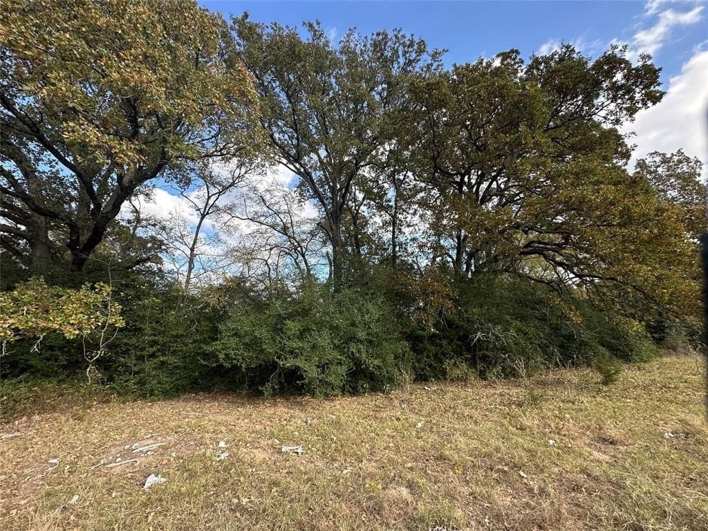 90 acres in Limestone County - photo 35