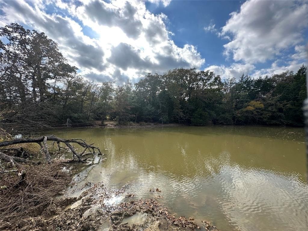 90 acres in Limestone County - photo 24