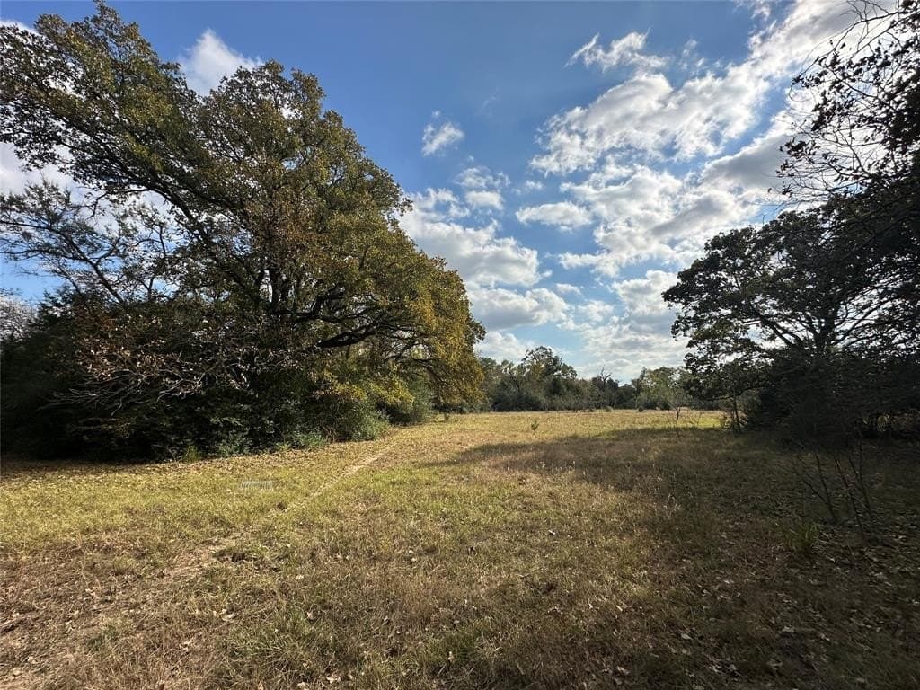 90 acres in Limestone County - photo 31