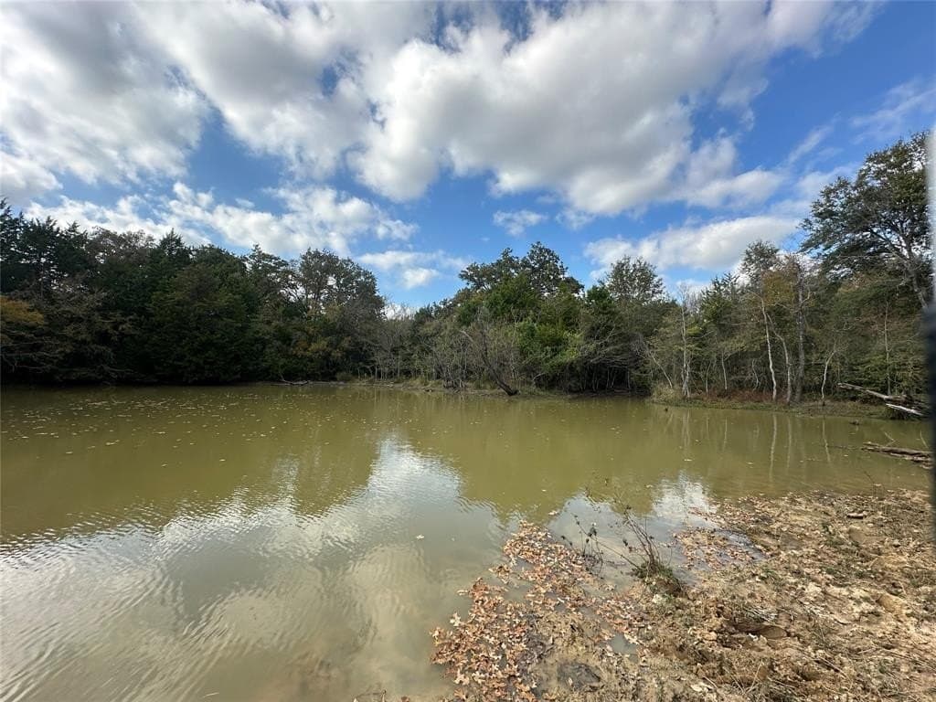 90 acres in Limestone County - photo 22