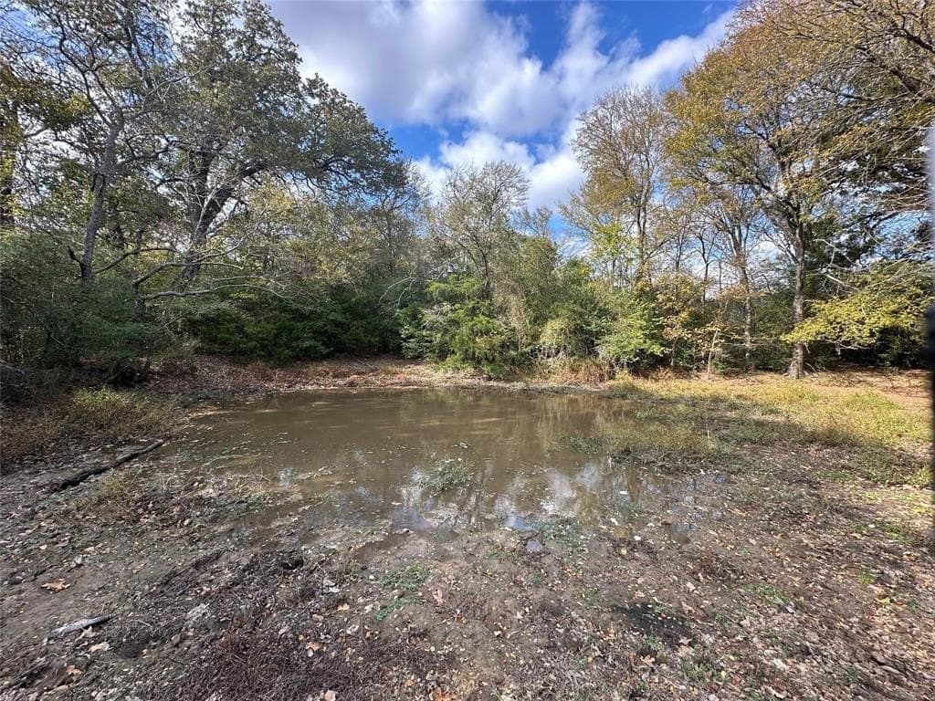 90 acres in Limestone County - photo 19