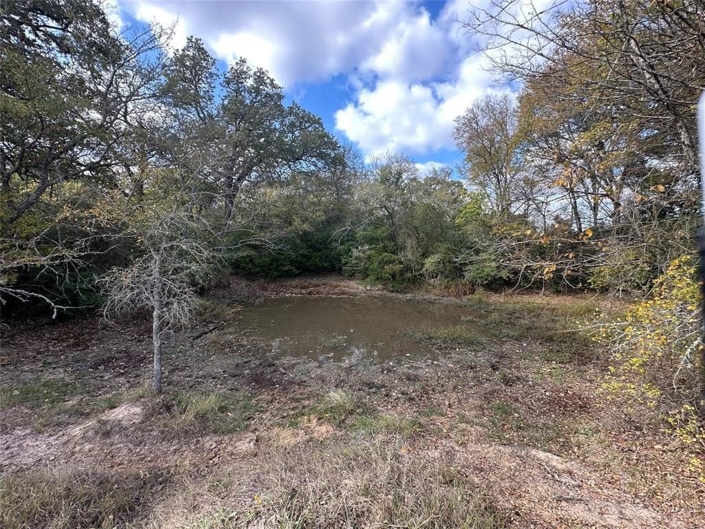 90 acres in Limestone County - photo 18