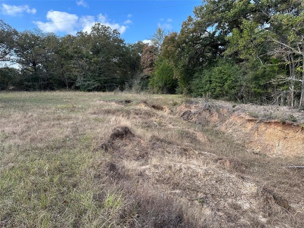 90 acres in Limestone County - photo 36