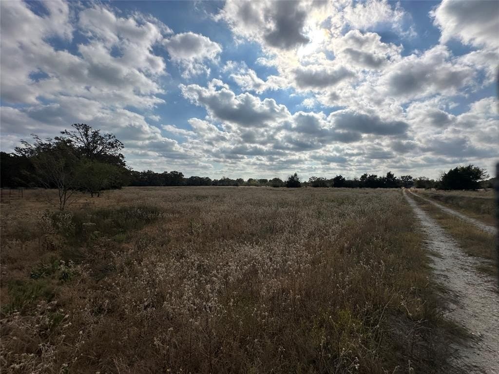 90 acres in Limestone County - photo 4
