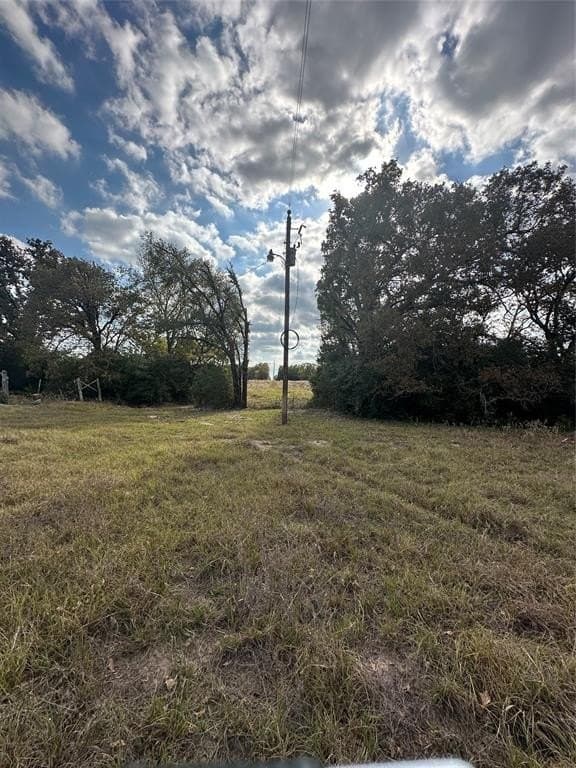 90 acres in Limestone County - photo 26