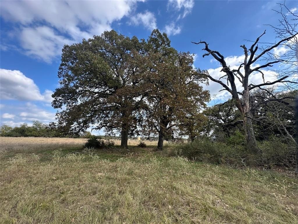 90 acres in Limestone County - photo 25