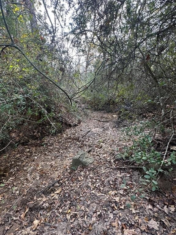 90 acres in Limestone County - photo 34