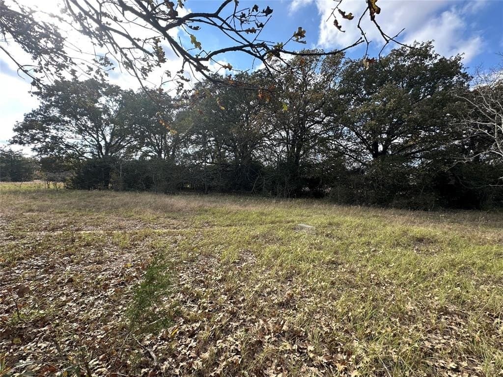 90 acres in Limestone County - photo 32