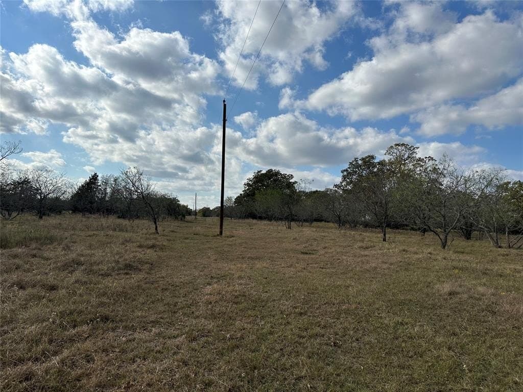 90 acres in Limestone County - photo 29
