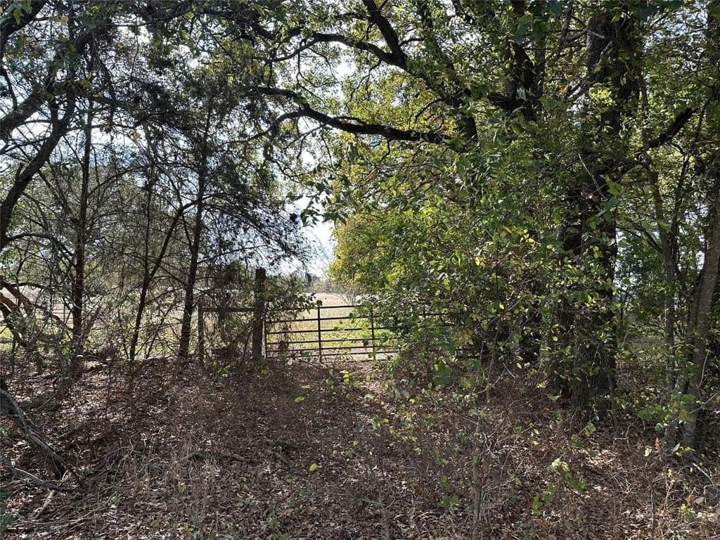 90 acres in Limestone County - photo 2
