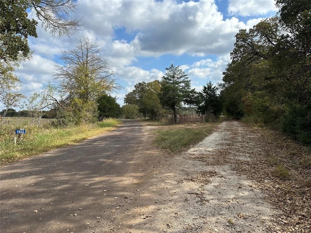 90 acres in Limestone County - photo 3