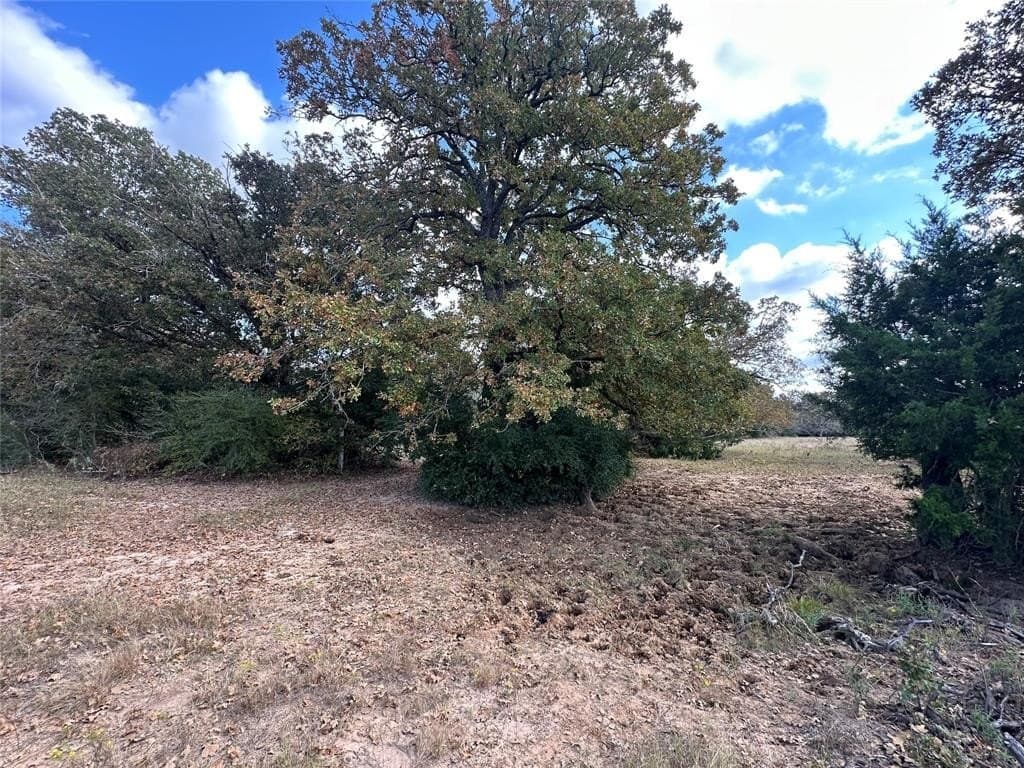 90 acres in Limestone County - photo 28