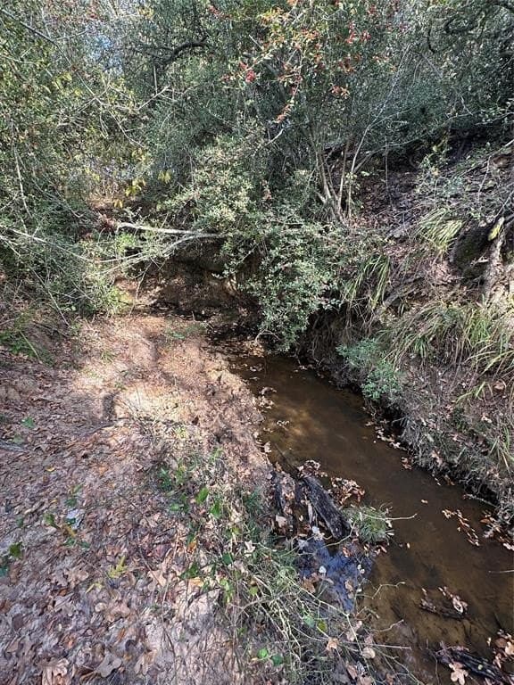 90 acres in Limestone County - photo 33