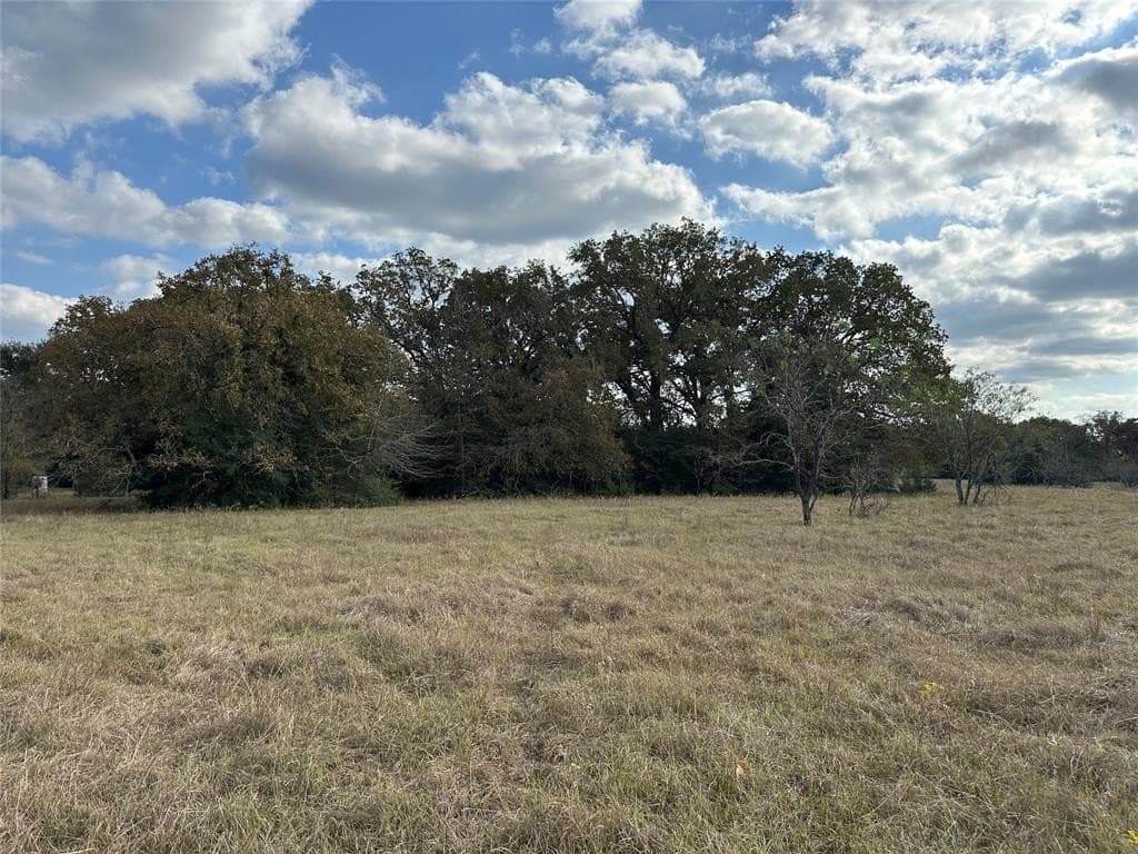 90 acres in Limestone County - photo 30