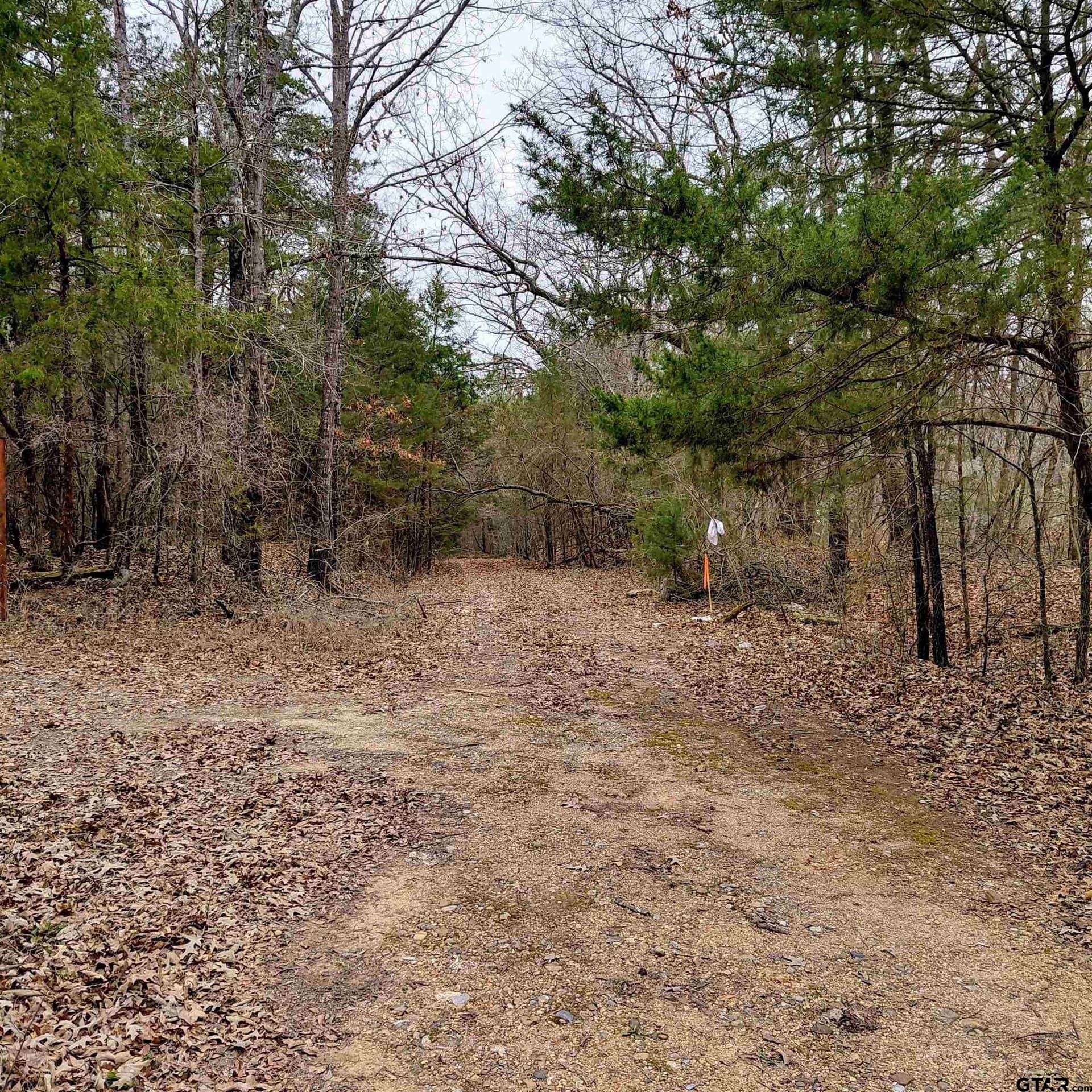 22.25 acres in Bowie County - photo 5