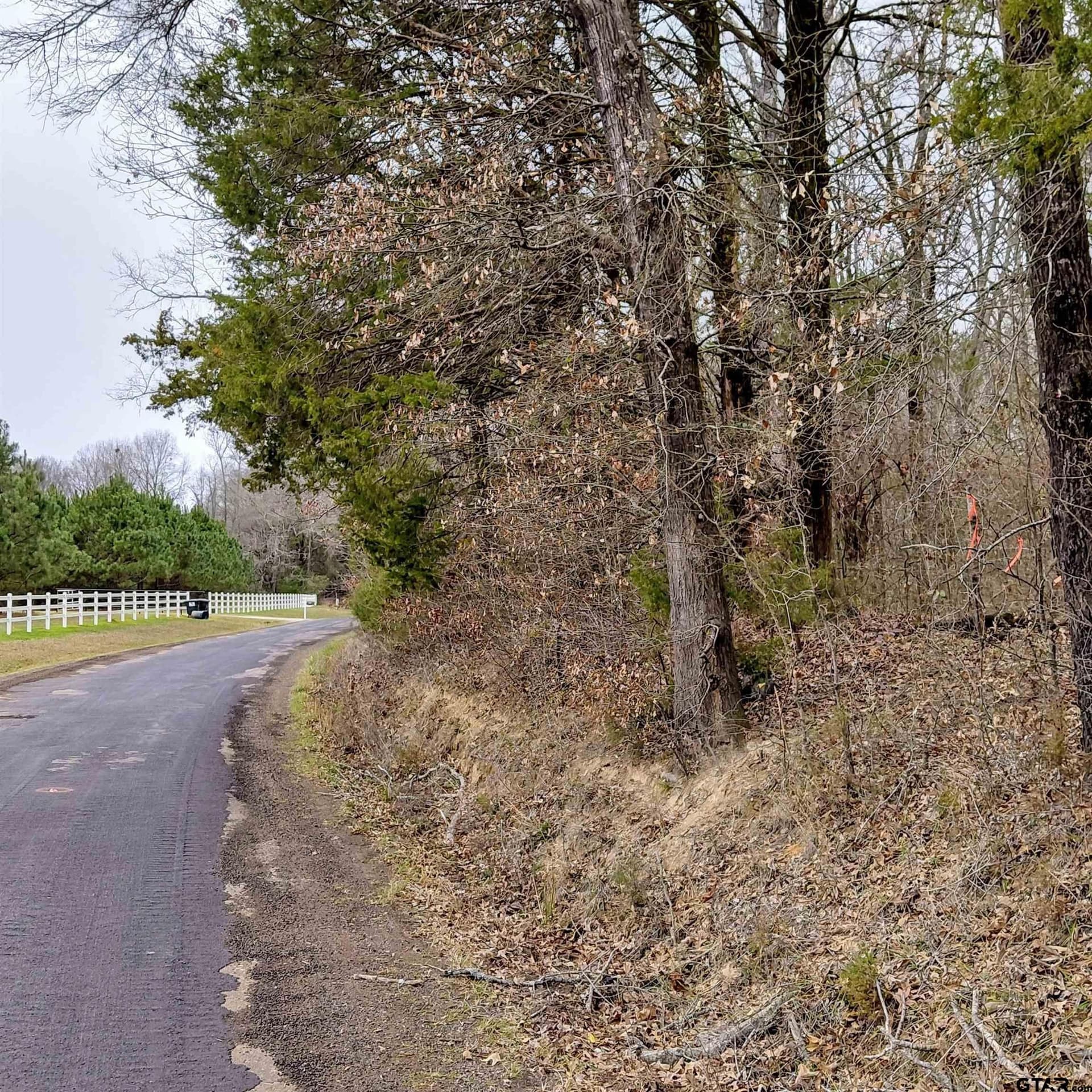 22.25 acres in Bowie County - photo 2