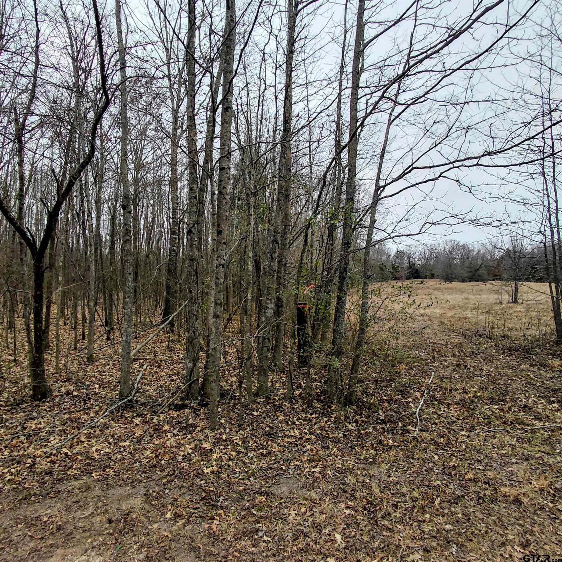 22.25 acres in Bowie County - photo 7