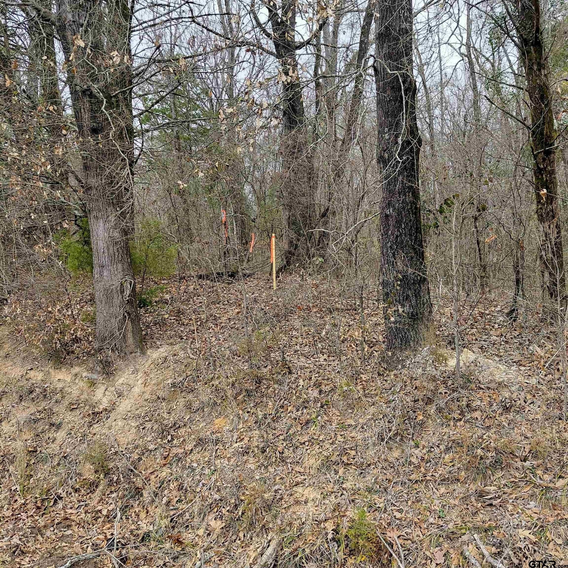 22.25 acres in Bowie County - photo 3