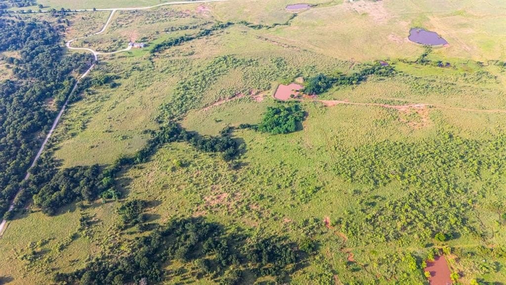 50 acres in Montague County - photo 8