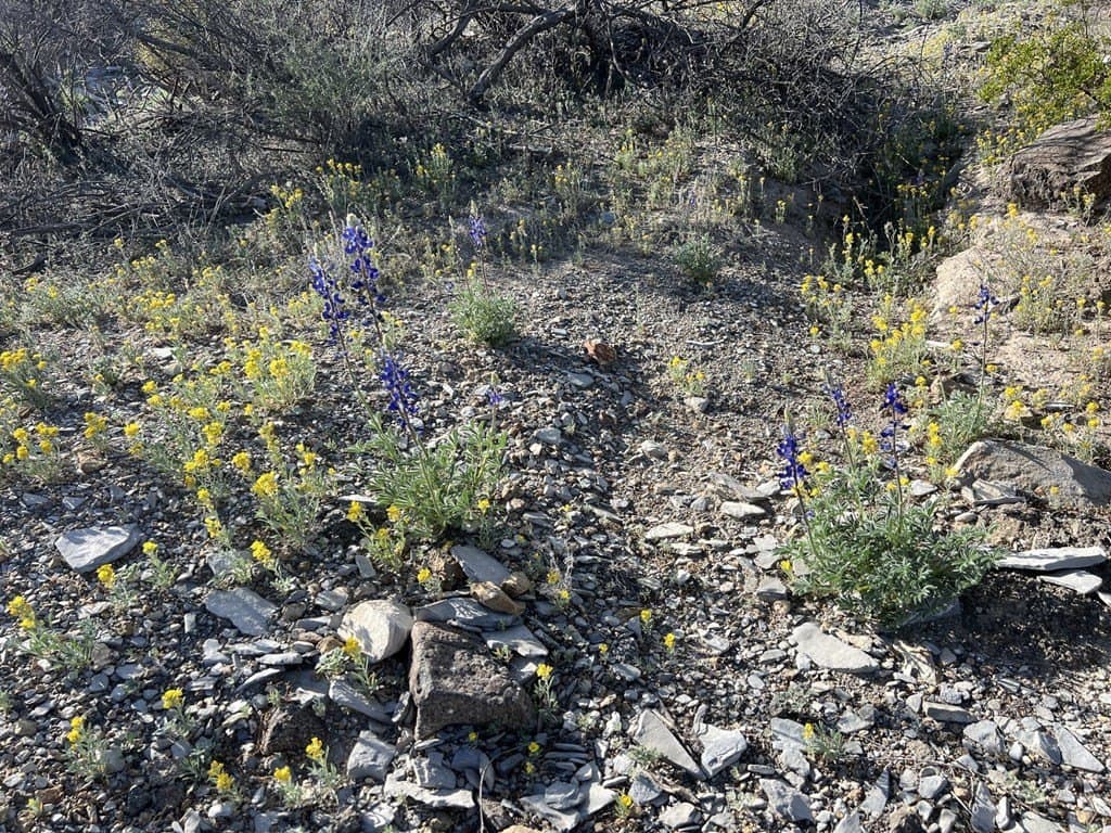 20 acres in Brewster County - photo 49