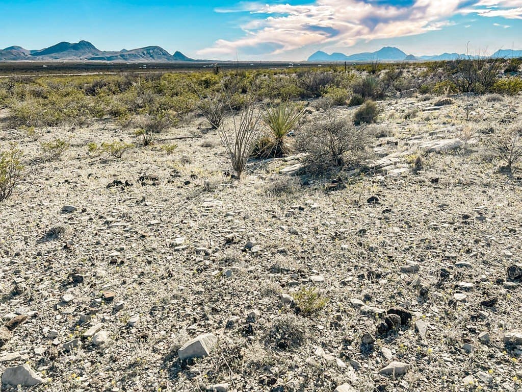 20 acres in Brewster County - photo 48