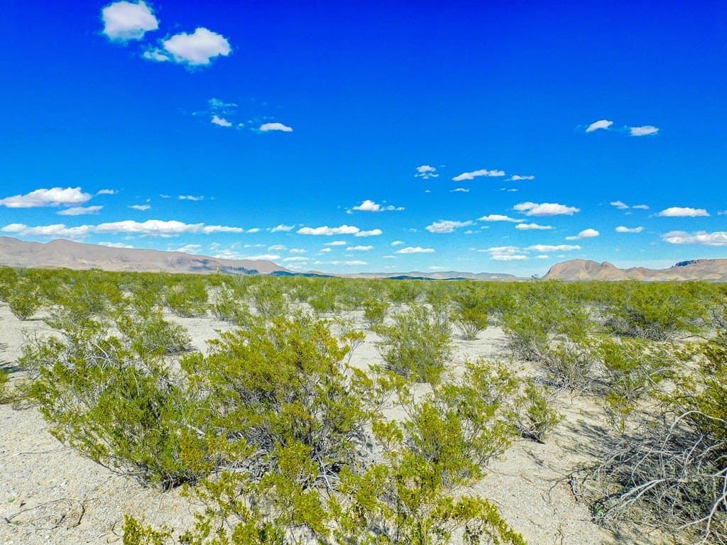 20 acres in Brewster County - photo 10