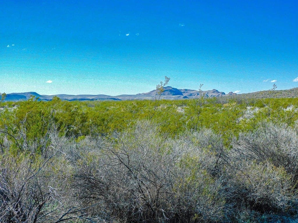 20 acres in Brewster County - photo 26