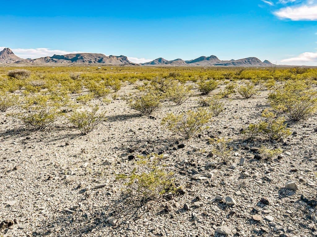 20 acres in Brewster County - photo 41