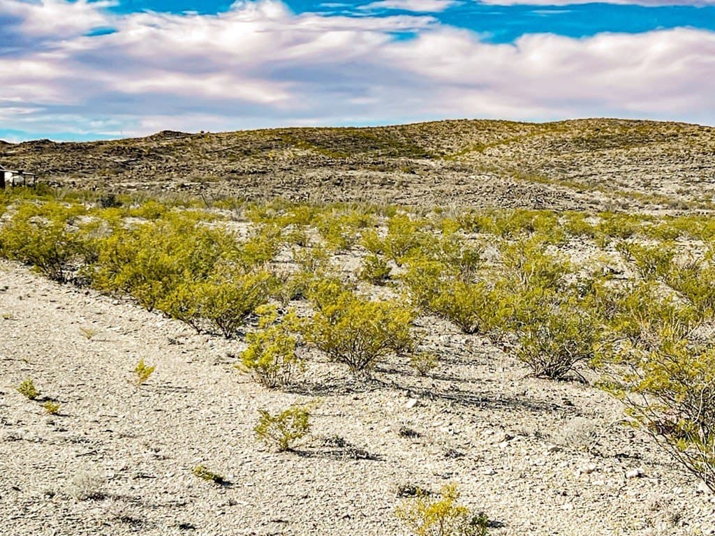 20 acres in Brewster County - photo 35