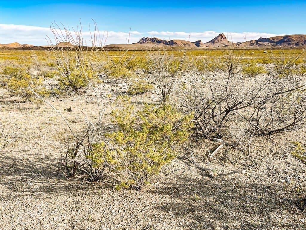 20 acres in Brewster County - photo 51