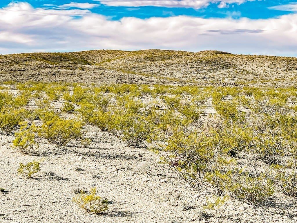 20 acres in Brewster County - photo 34
