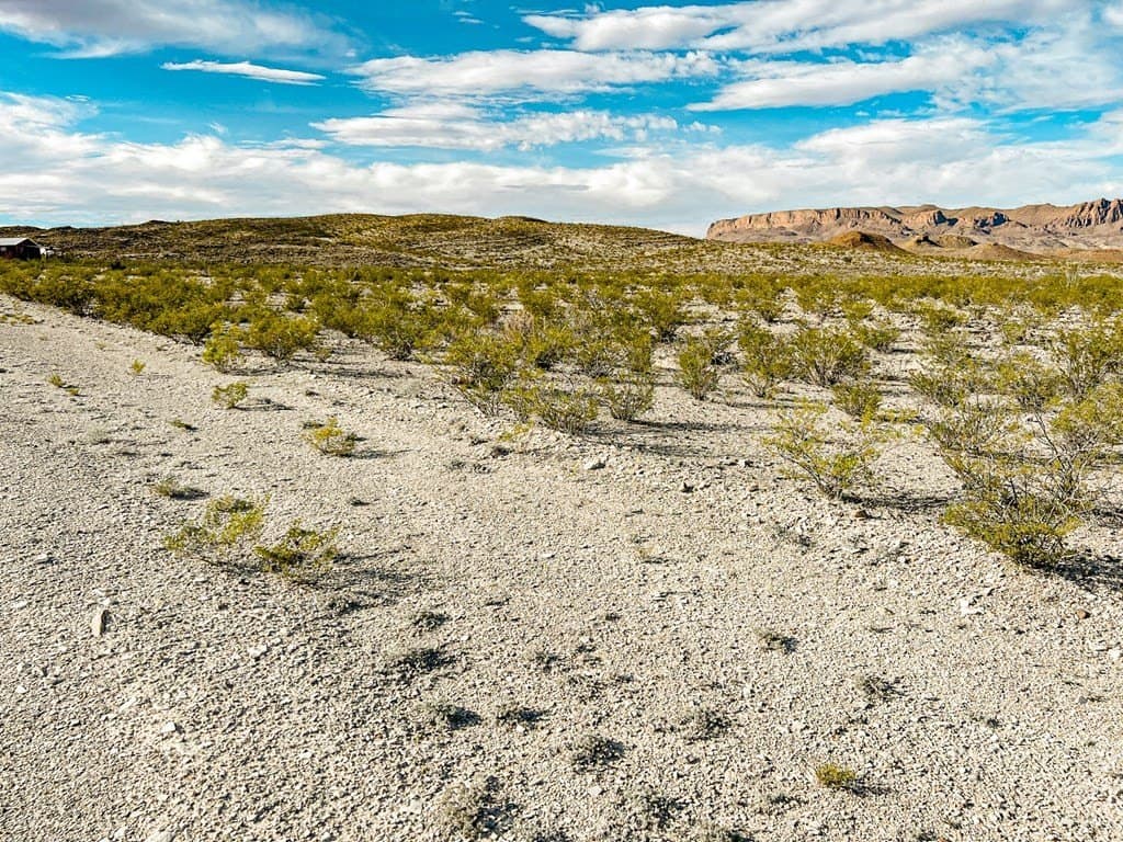 20 acres in Brewster County - photo 4