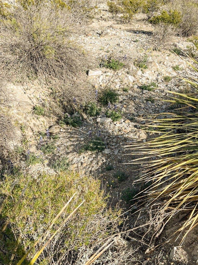 20 acres in Brewster County - photo 52