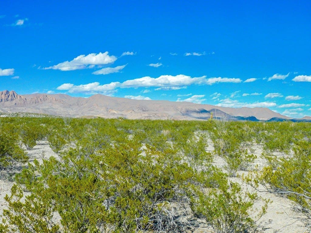 20 acres in Brewster County - photo 9