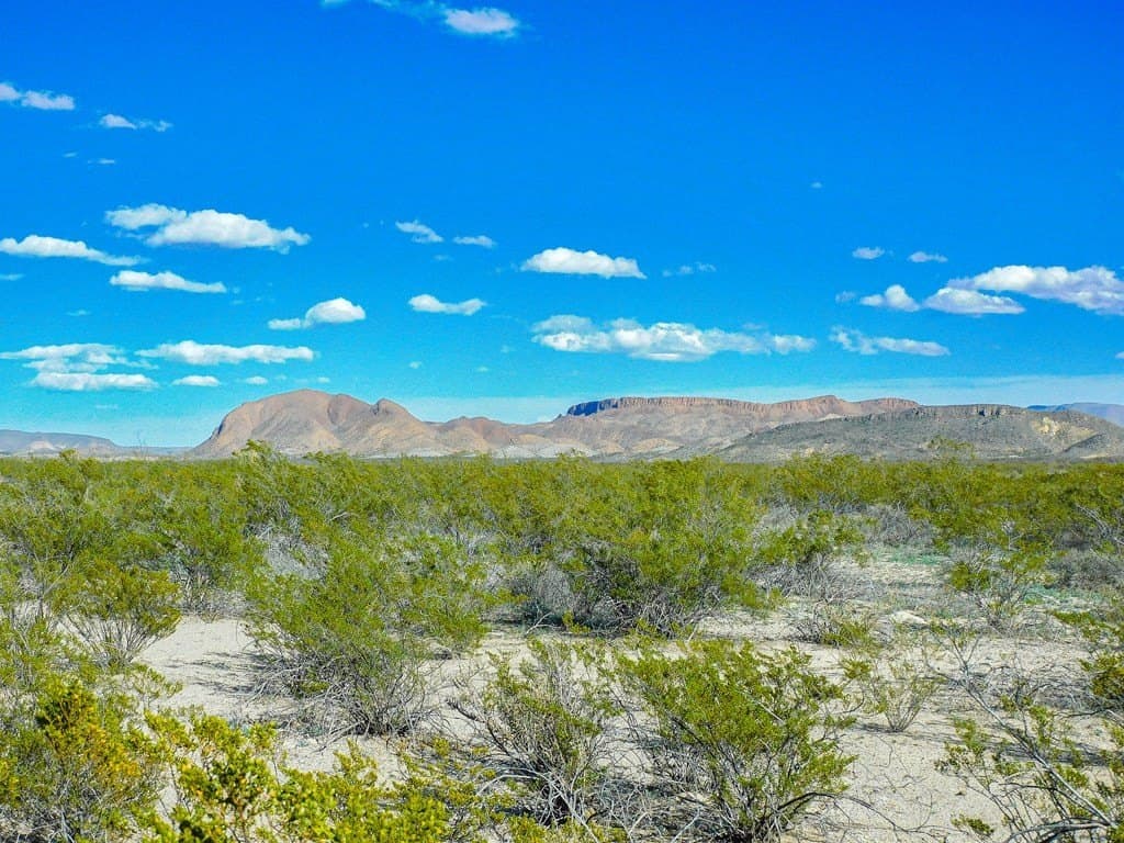 20 acres in Brewster County - photo 6