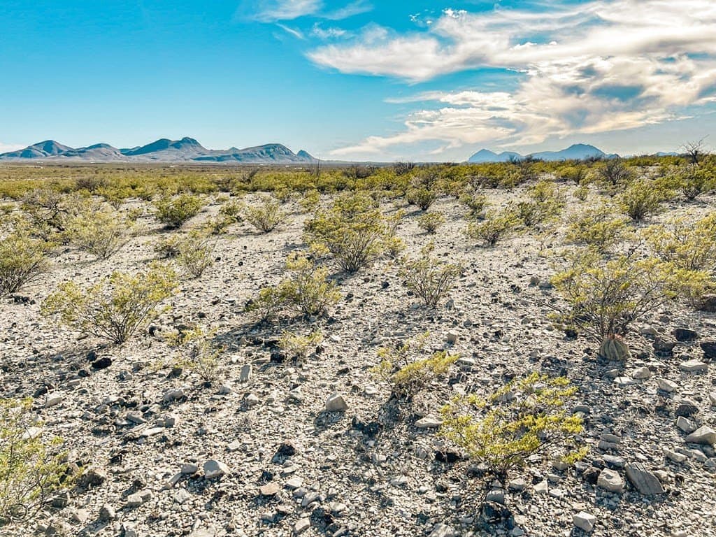 20 acres in Brewster County - photo 40