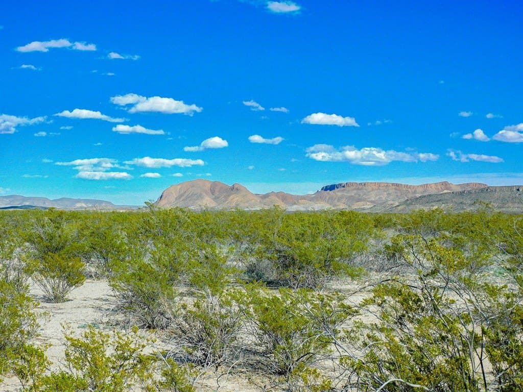 20 acres in Brewster County - photo 11